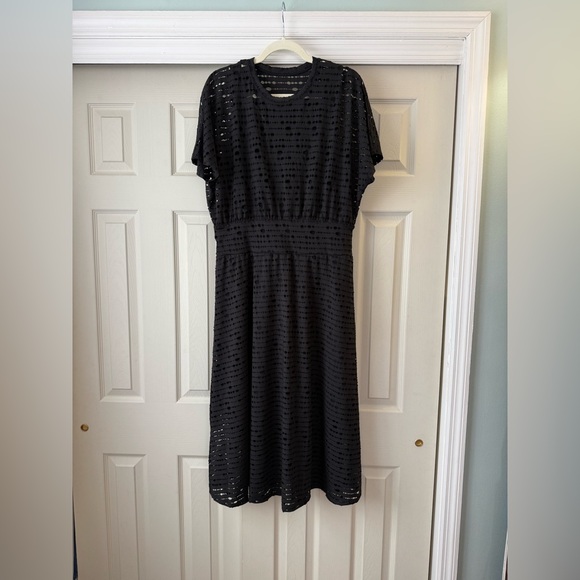 Everlane Eyelet Waisted Dress - Picture 3 of 8